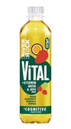 River Rock Vital Mango & Passionfruit 0.45l